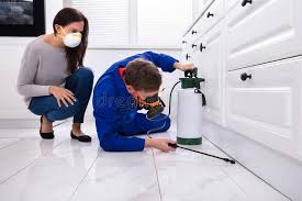 Emergency Pest Control Services in Newton, TX